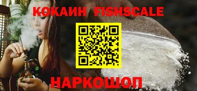 гидра Будённовск