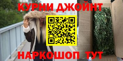 гидра Будённовск