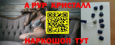 гидра Будённовск