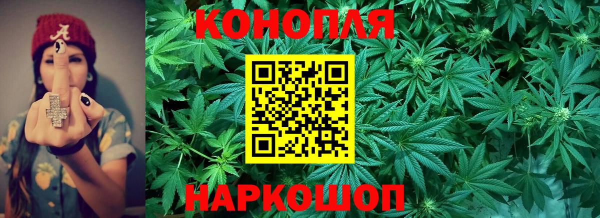 Конопля OG Kush Чусовой